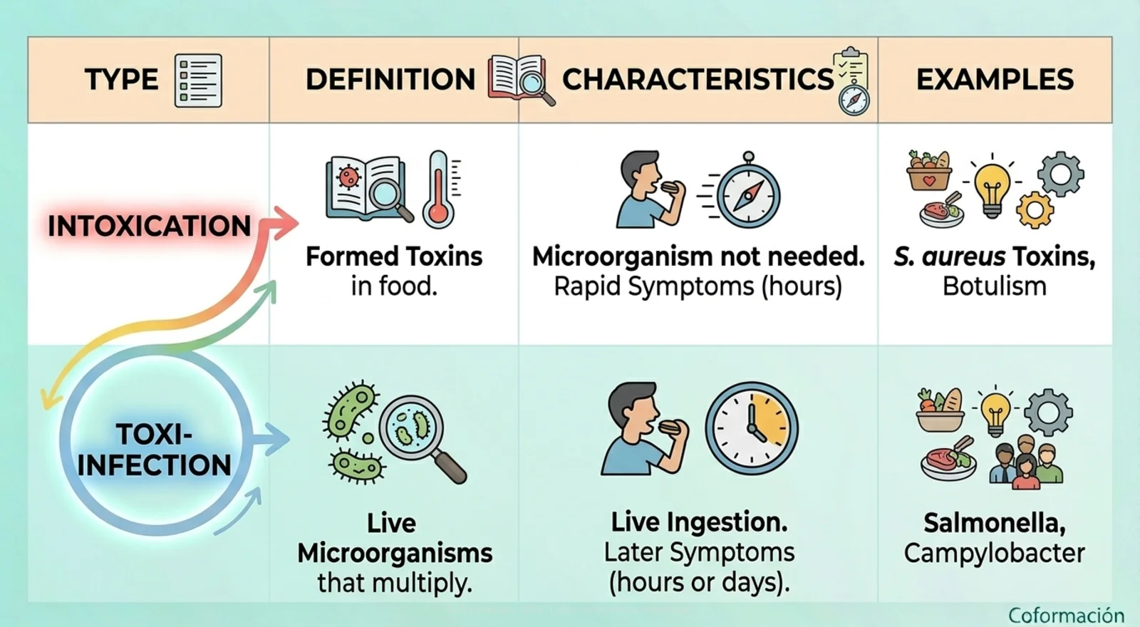 Intoxication vs Toxi-Infection - Coformación