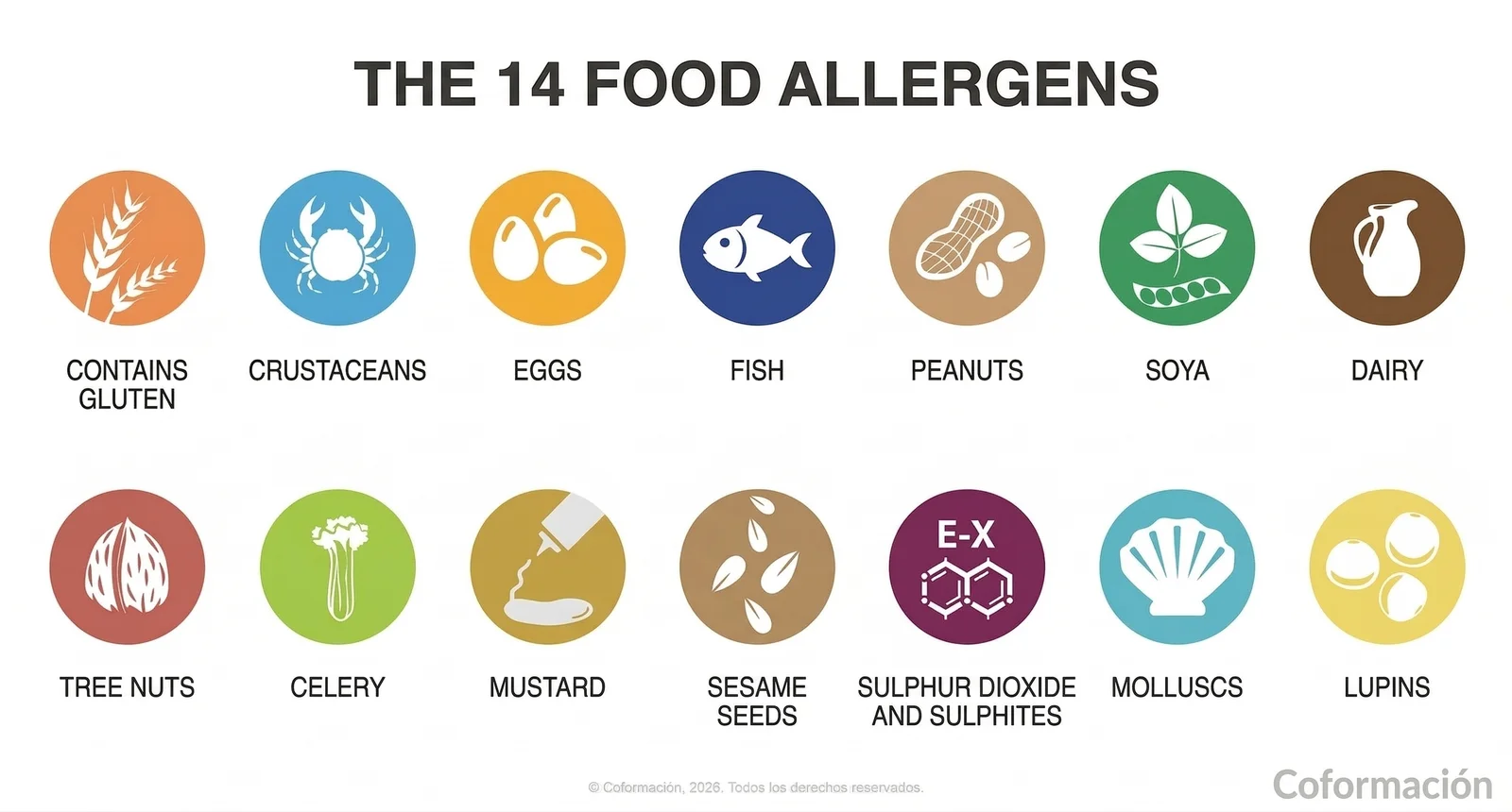 The 14 Food Allergens - Coformación